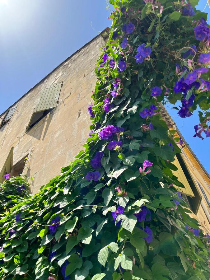 Le Donjon De La Roquette Apartment Arles Ngoại thất bức ảnh