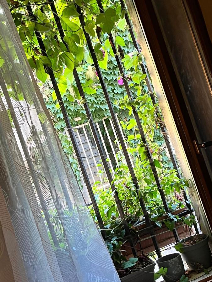 Le Donjon De La Roquette Apartment Arles Ngoại thất bức ảnh